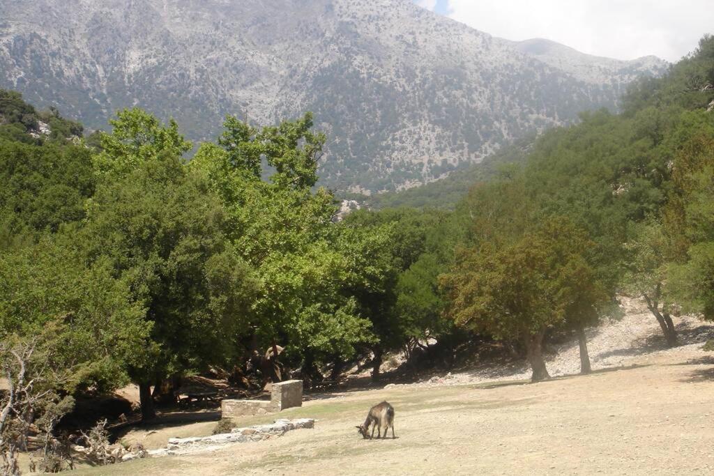 Villa Strata Kardhamiana Exterior photo